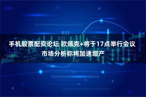 手机股票配资论坛 欧佩克+将于17点举行会议 市场分析称将加速增产